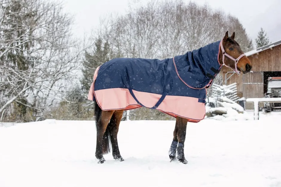 EQUITHÈME TYREX 600 D“ Decke