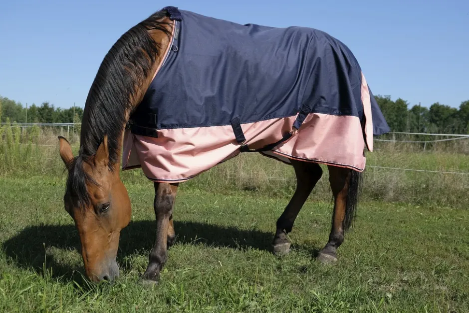 EQUITHÈME TYREX 600 D“ Decke