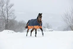 EQUITHÈME TYREX 600 D“ Decke