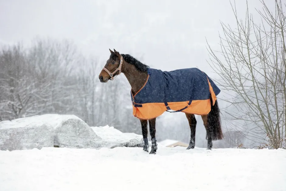 EQUITHÈME TYREX 600 D“ Decke