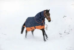 EQUITHÈME TYREX 600 D“ Decke
