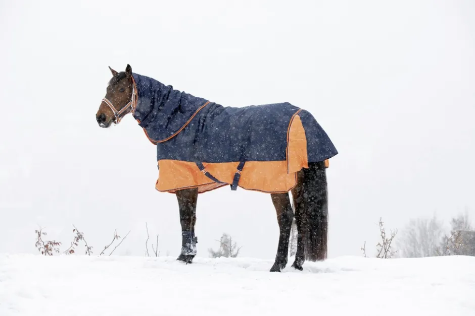 EQUITHÈME TYREX 600 D“ Decke