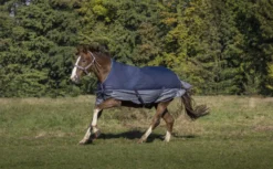 EQUITHÈME „TYREX 600 D, High Neck Decke