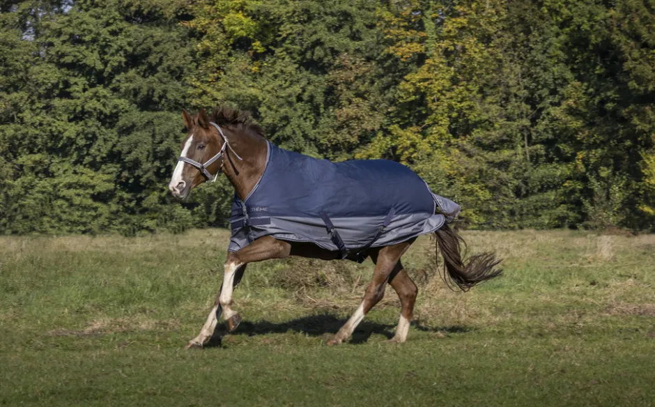 EQUITHÈME „TYREX 600 D, High Neck Decke
