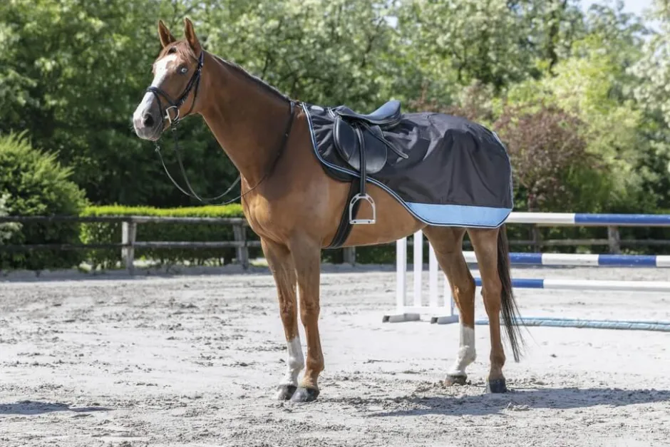 EQUITHÈME „TYREX 600 D“ Nierendecke