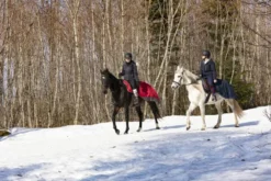 EQUITHÈME „TYREX 1200 D“, Nierendecke mit Polar Fleece Fütterung