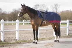 EQUITHÈME „TYREX 1200 D“, Nierendecke mit Polar Fleece Fütterung