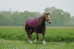 EQUITHÈME - TYREX 1200D - Outdoor Decke