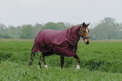 EQUITHÈME - TYREX 1200D - Outdoor Decke Combo