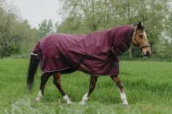 EQUITHÈME - TYREX 1200D - Outdoor Decke Combo