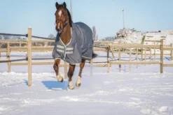 EQUITHÈME TYREX 600D Recycelte Outdoor Decke