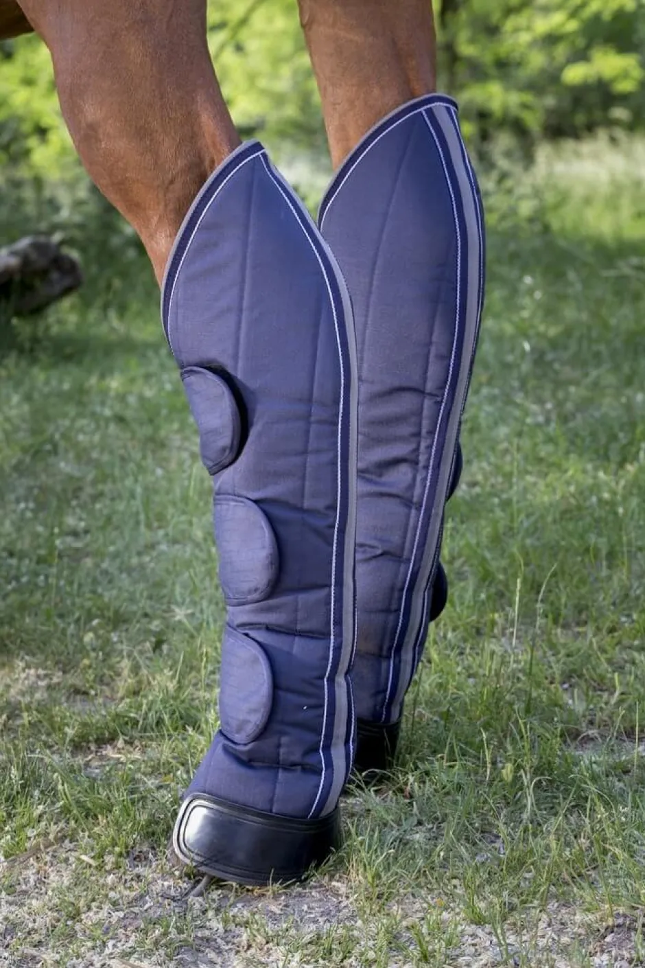 EQUITHÈME „TYREX 600 D Renforcé Transportgamaschen
