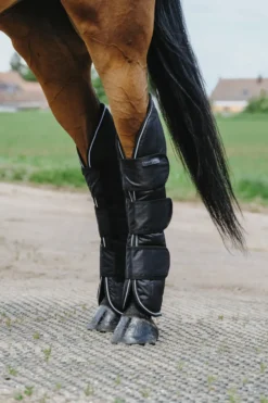 EQUITHÈME - TYREX 600D - Transportgamaschen