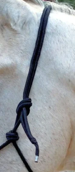 Ethnologisches Halfter mit Zügel