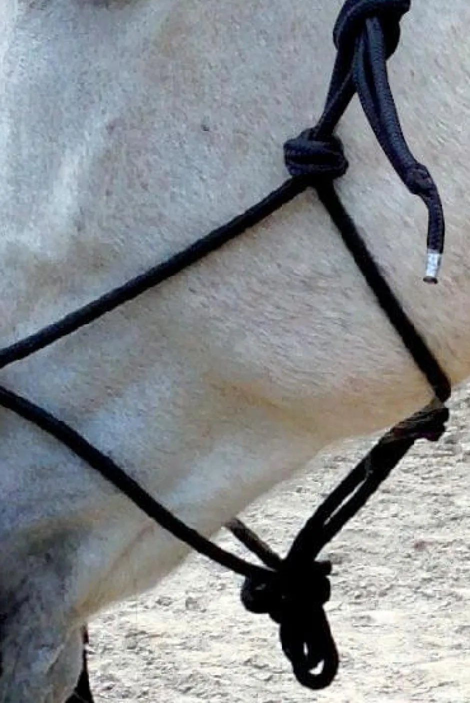 Ethnologisches Halfter mit Zügel