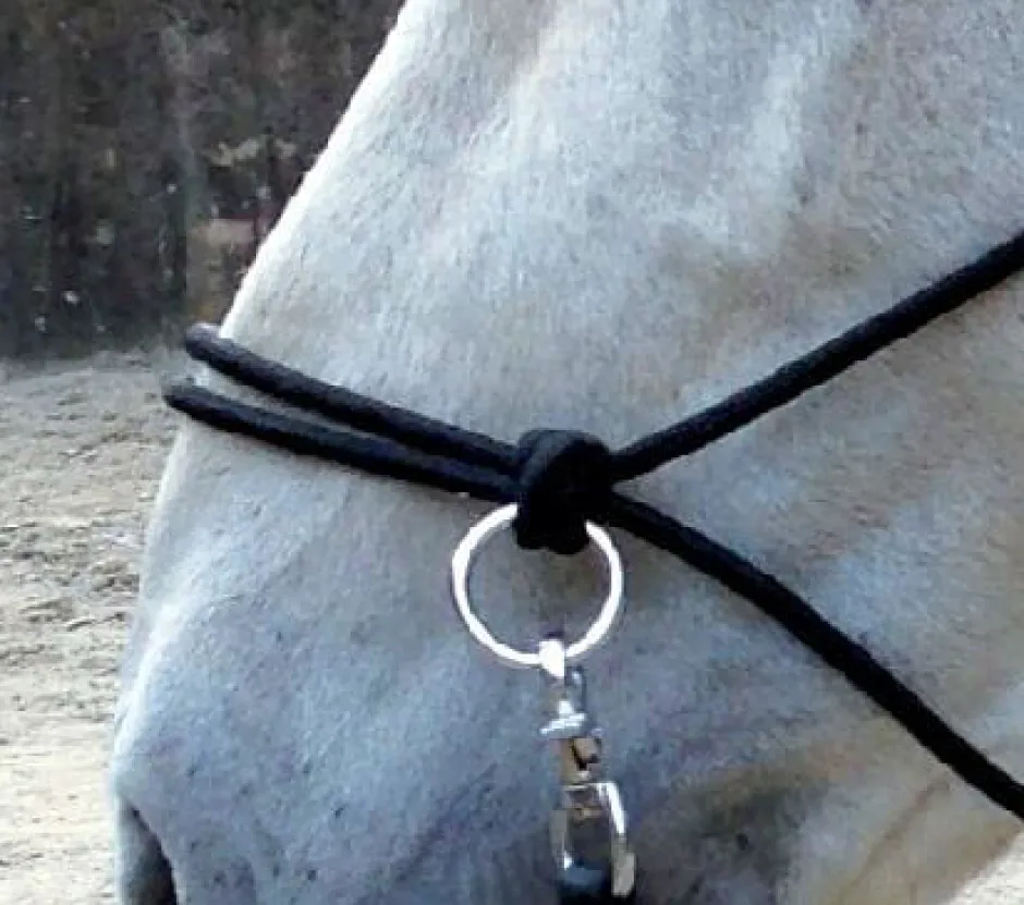 Ethnologisches Halfter mit Zügel
