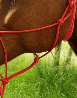 Ethologisches Strickhalfter „Fin“