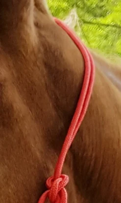 Ethologisches Strickhalfter „Fin“