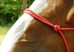 Ethologisches Strickhalfter „Fin“