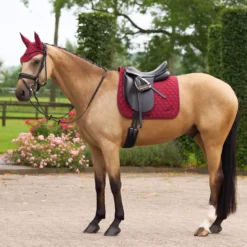 EURO-STAR Fliegenhaube ESCoco