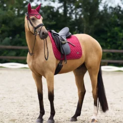 EURO-STAR Schabracke ESCato Dressur