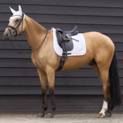 EURO-STAR Schabracke ESCoco Dressur