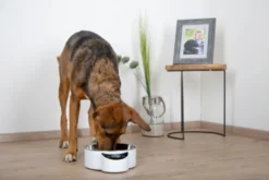 EYENIMAL Intelligent Pet Bowl mit integrierter Waage