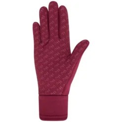 Handschuhe Winter HV POLO