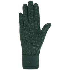 Handschuhe Winter HV POLO