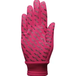 Handschuhe Winter HV POLO