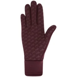 Handschuhe Winter HV POLO
