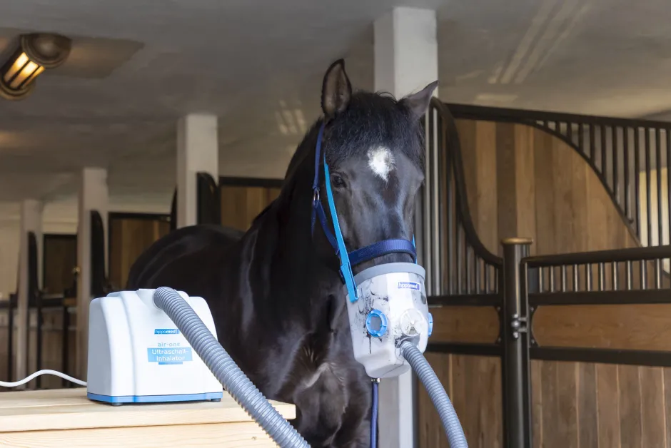 HIPPOMED Ultraschall-Inhalator für Pferde Air-One
