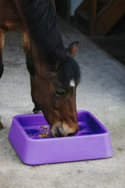 HIPPOTONIC Anti-Schling-Futtertrog