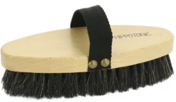 HIPPOTONIC Kardätsche „Crins, L 200 x B 80 x H 48 mm