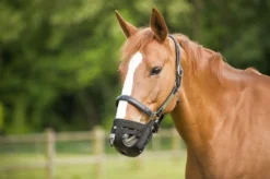 HIPPOTONIC Maulkorb