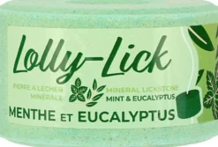 HIPPOTONIC Salzleckstein - LOLLY-LICK