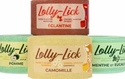 HIPPOTONIC Salzleckstein - LOLLY-LICK