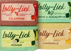 HIPPOTONIC Salzleckstein - LOLLY-LICK