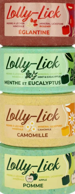 HIPPOTONIC Salzleckstein - LOLLY-LICK