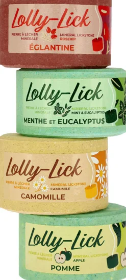 HIPPOTONIC Salzleckstein - LOLLY-LICK