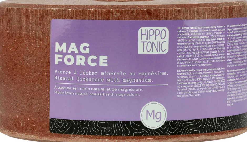 HIPPOTONIC Salzleckstein - Magforce