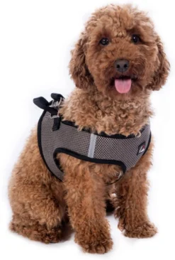 HKM Hundegeschirr -Buddy Soft-