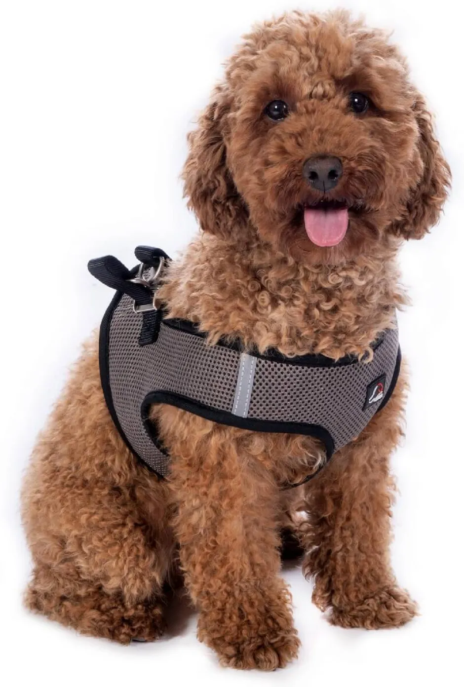HKM Hundegeschirr -Buddy Soft-