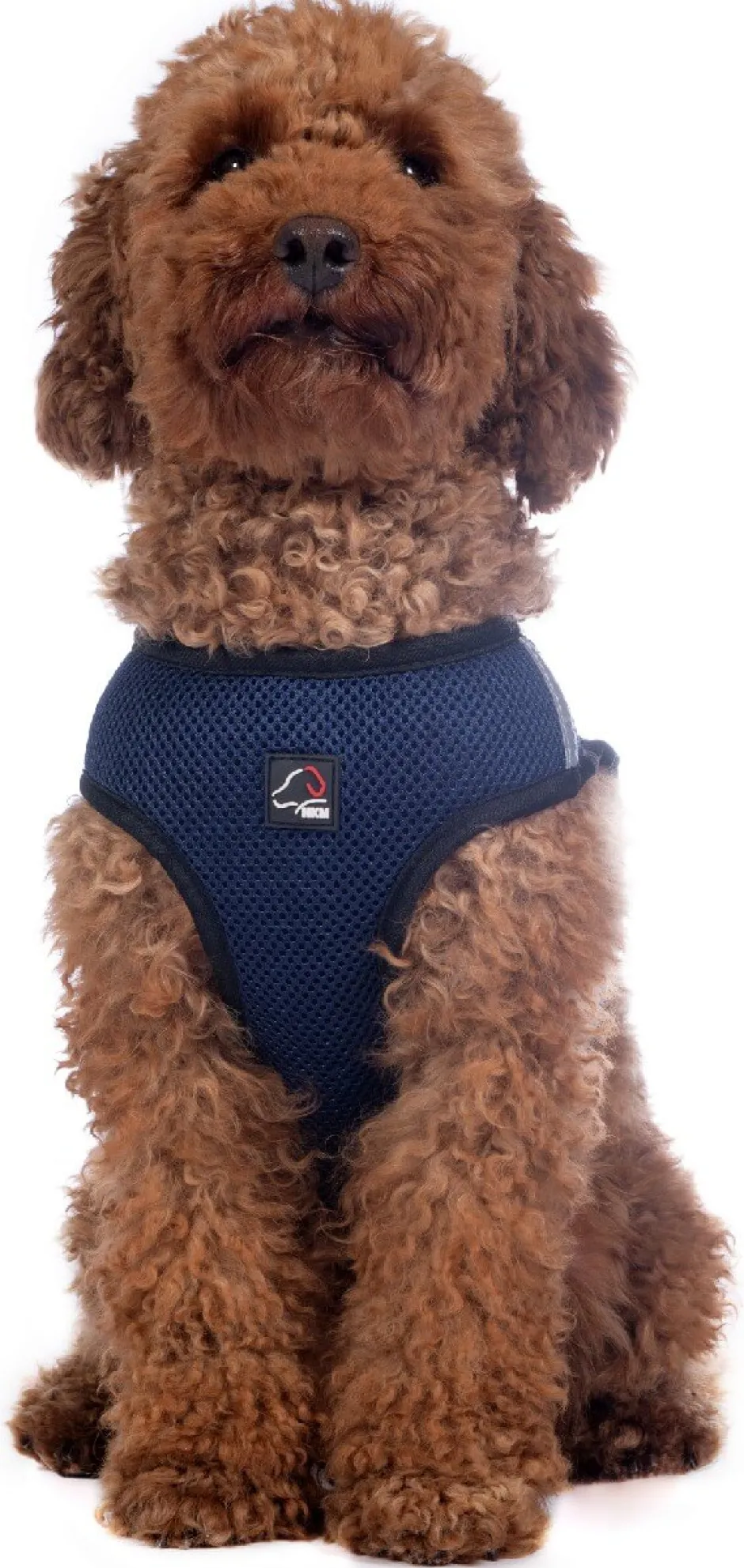 HKM Hundegeschirr -Buddy Soft-