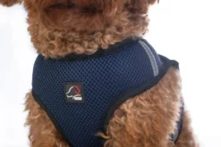 HKM Hundegeschirr -Buddy Soft-
