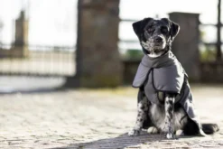 HKM Hundemantel -Buddy- mit Fleecefutter