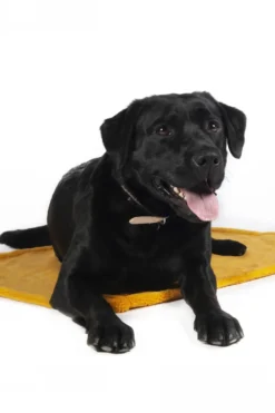 HKM Hundewendedecke -Anam Cara-