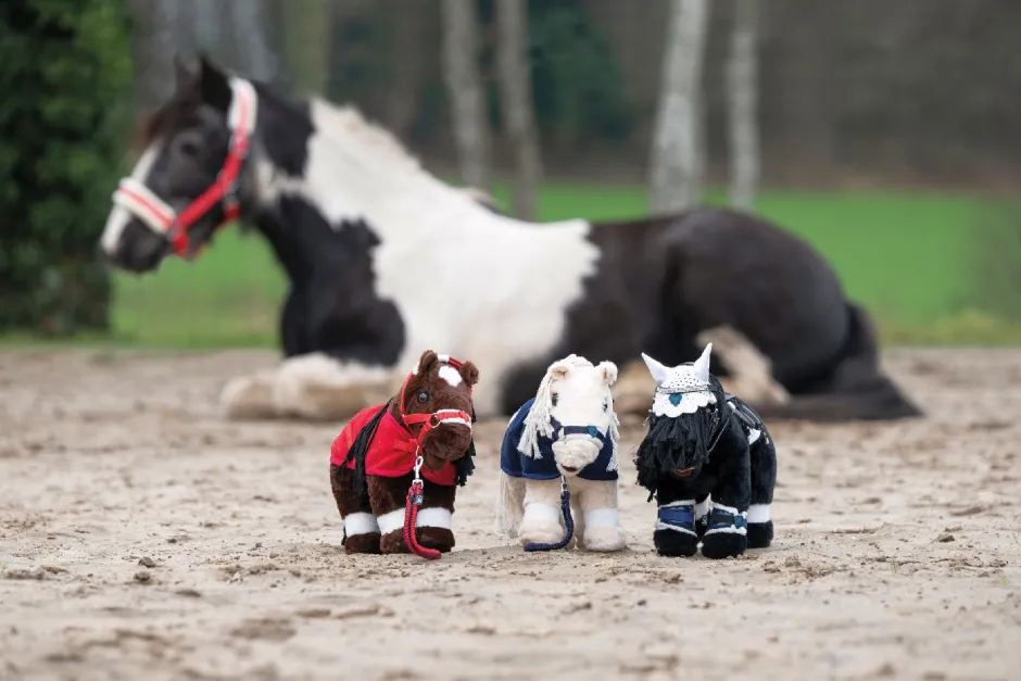 HKM Cuddle Pony