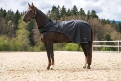 HKM Führanlagendecke -Carvis-