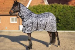HKM Fliegendecke mit Halsteil -Zebra- mit Bauchlatz